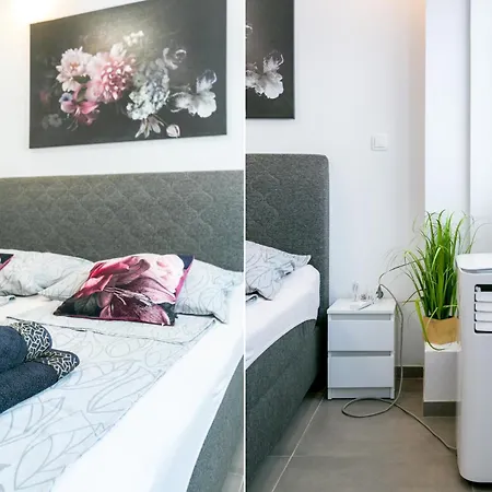 Apartment Brajdine 2 - As2 *